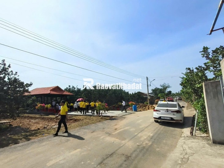  Bán đất vườn bưởi Trừ Văn Thố – Bàu Bàng | 250m² | Giá 965 triệu